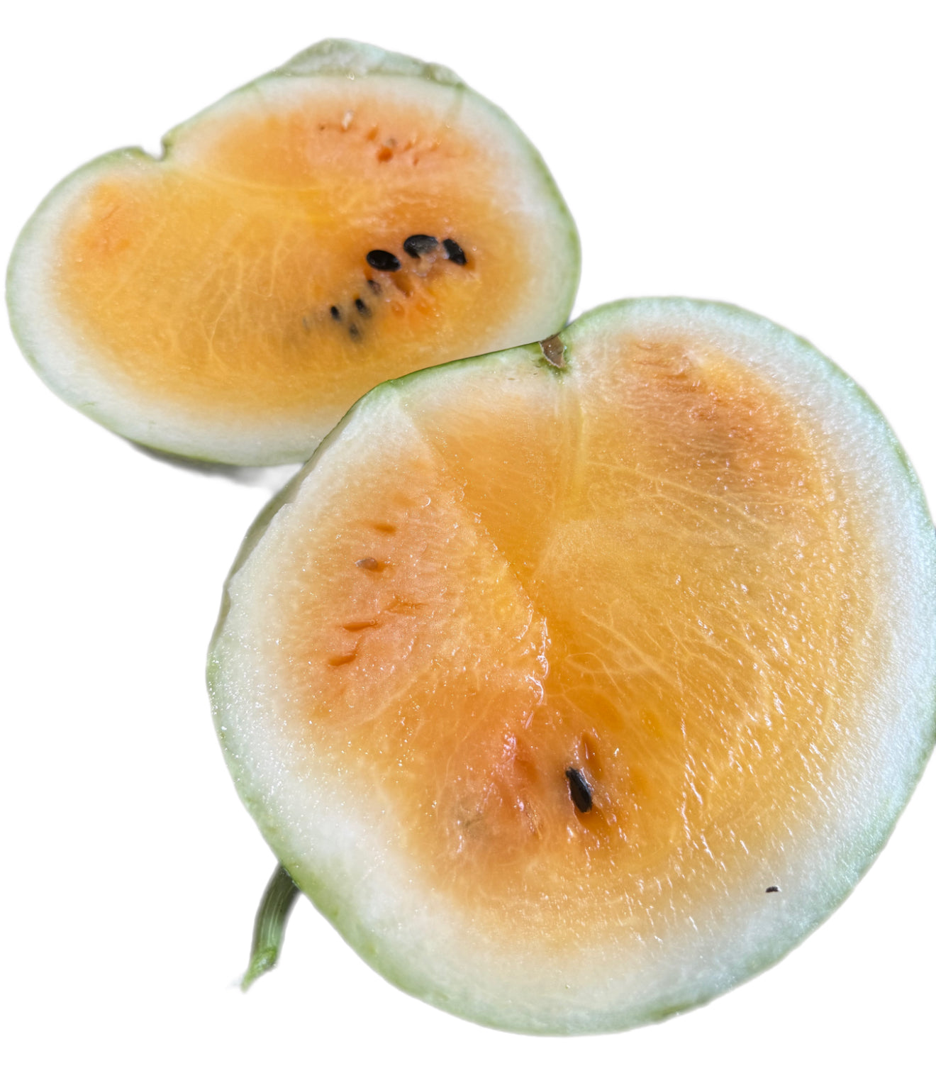Tendergold Orange Watermelon Seeds