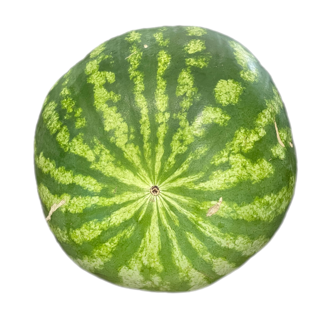 Tendergold Orange Watermelon Seeds