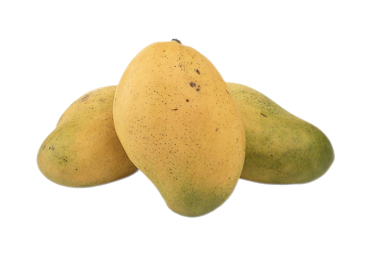 Fransik Mango Seeds-Origin. Haiti
