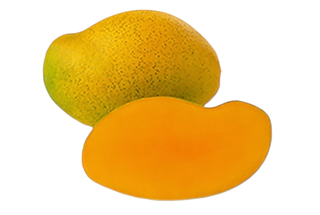 Fransik Mango Seeds-Origin. Haiti