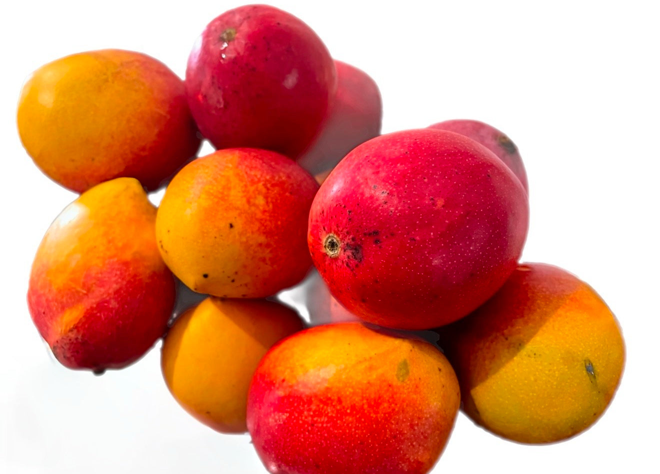 Pearl Mango Seeds- Origin. Australia