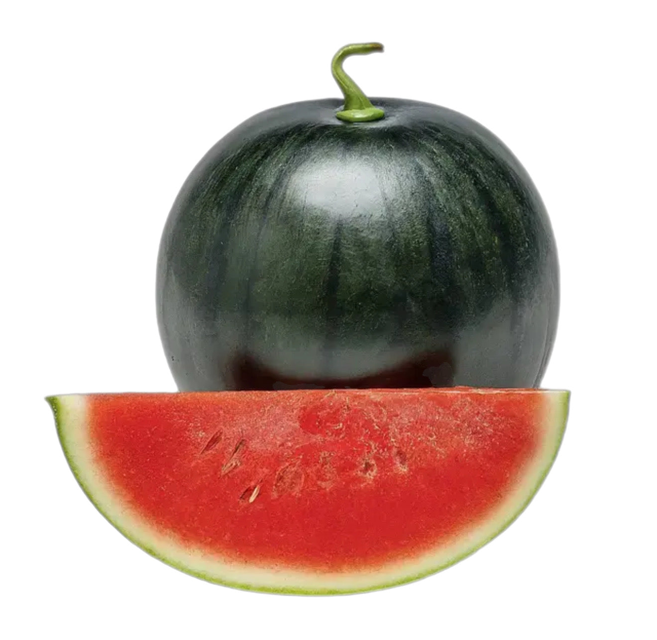 planting black diamond watermelon seeds Black Diamond Watermelon Seeds – SimpliFarms Store