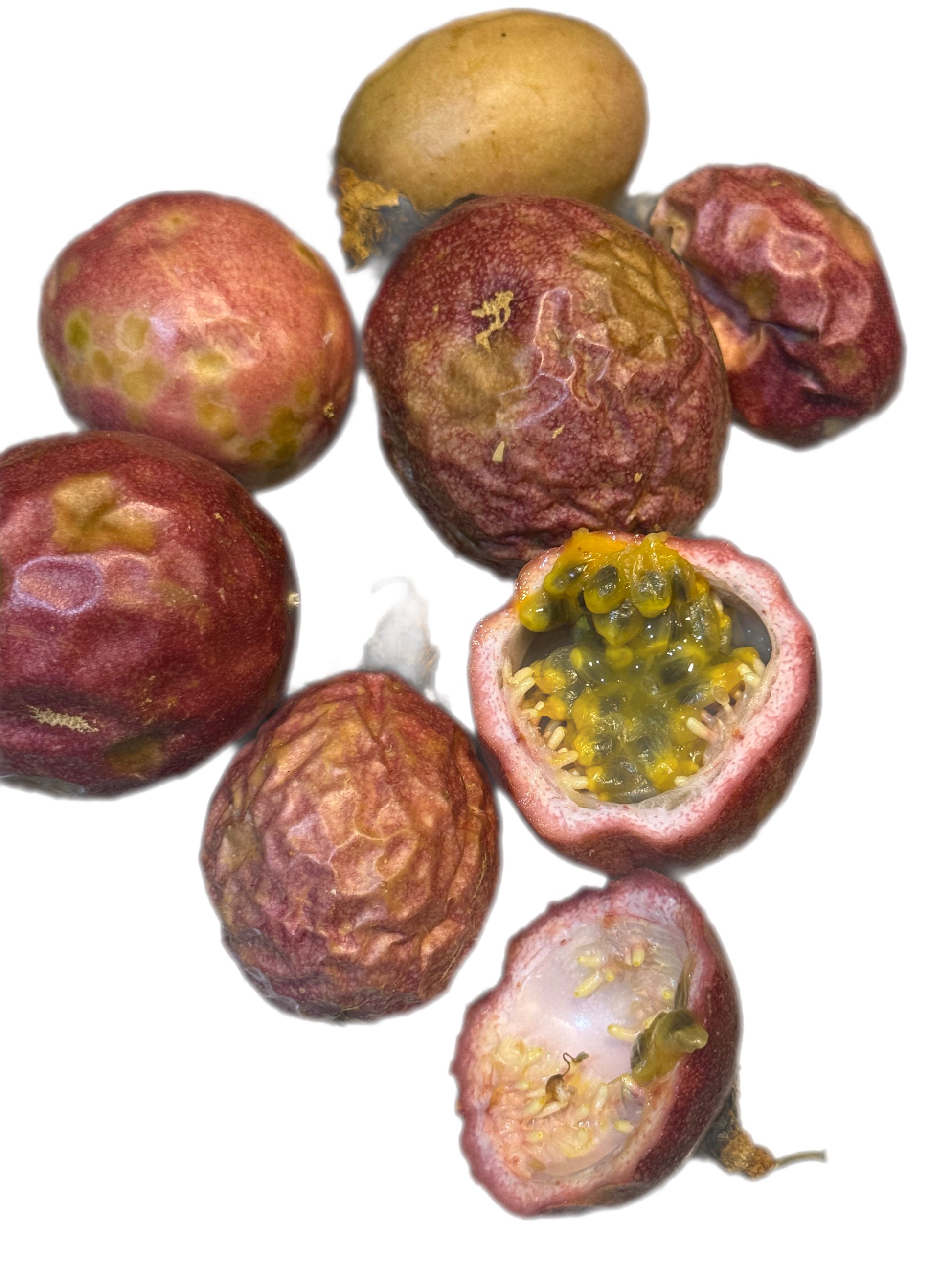 passion fruit plant seeds Passion Fruit Seeds- Variety: Romana Rose – SimpliFarms Store