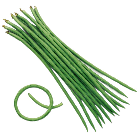 Yard Long Green Bean Seeds
