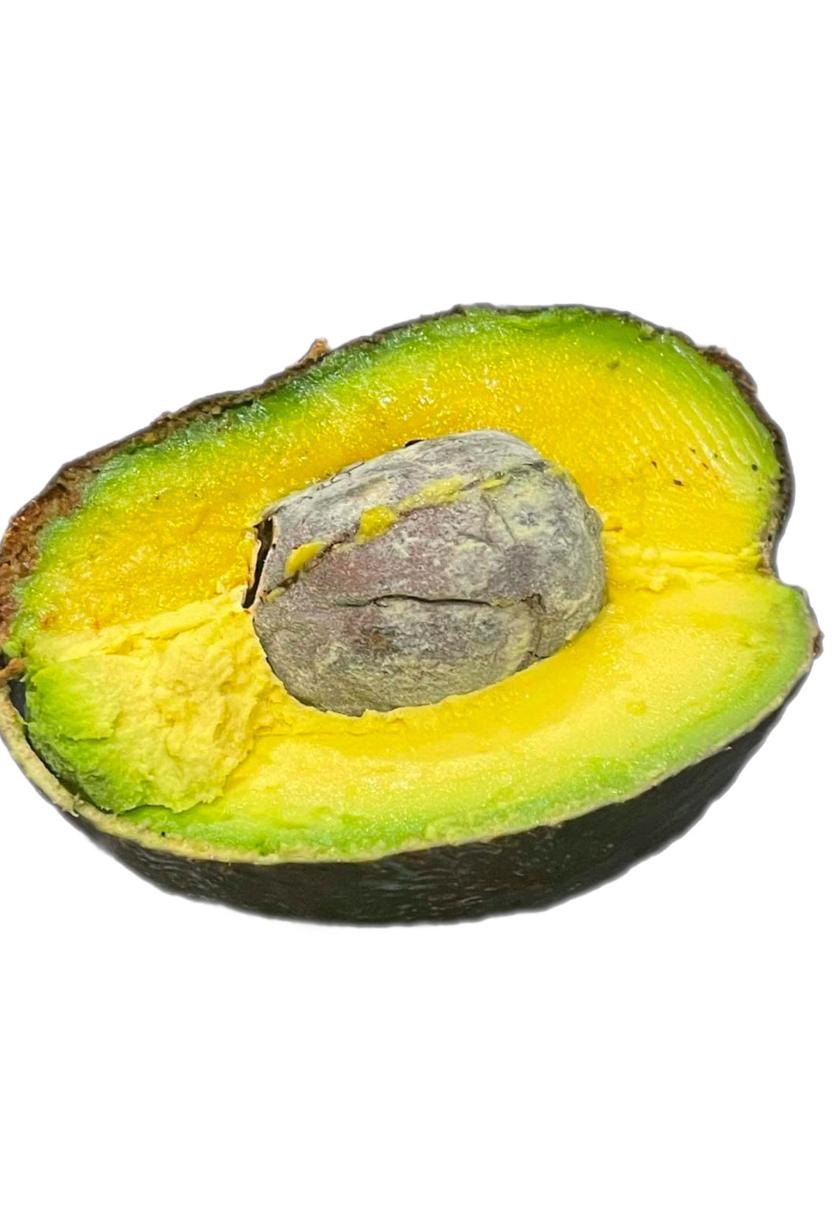 Oro Negro Avocado Seeds – Rare Black Gold Variety