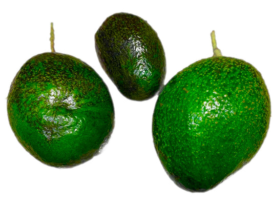 Oro Negro Avocado Seeds – Rare Black Gold Variety