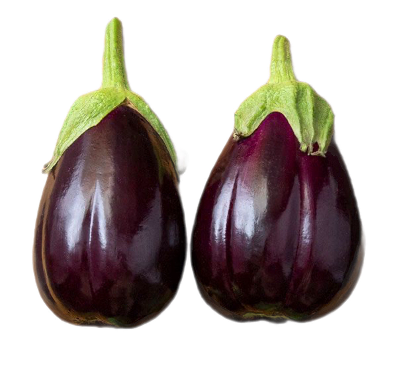Black Beauty Eggplant Seeds