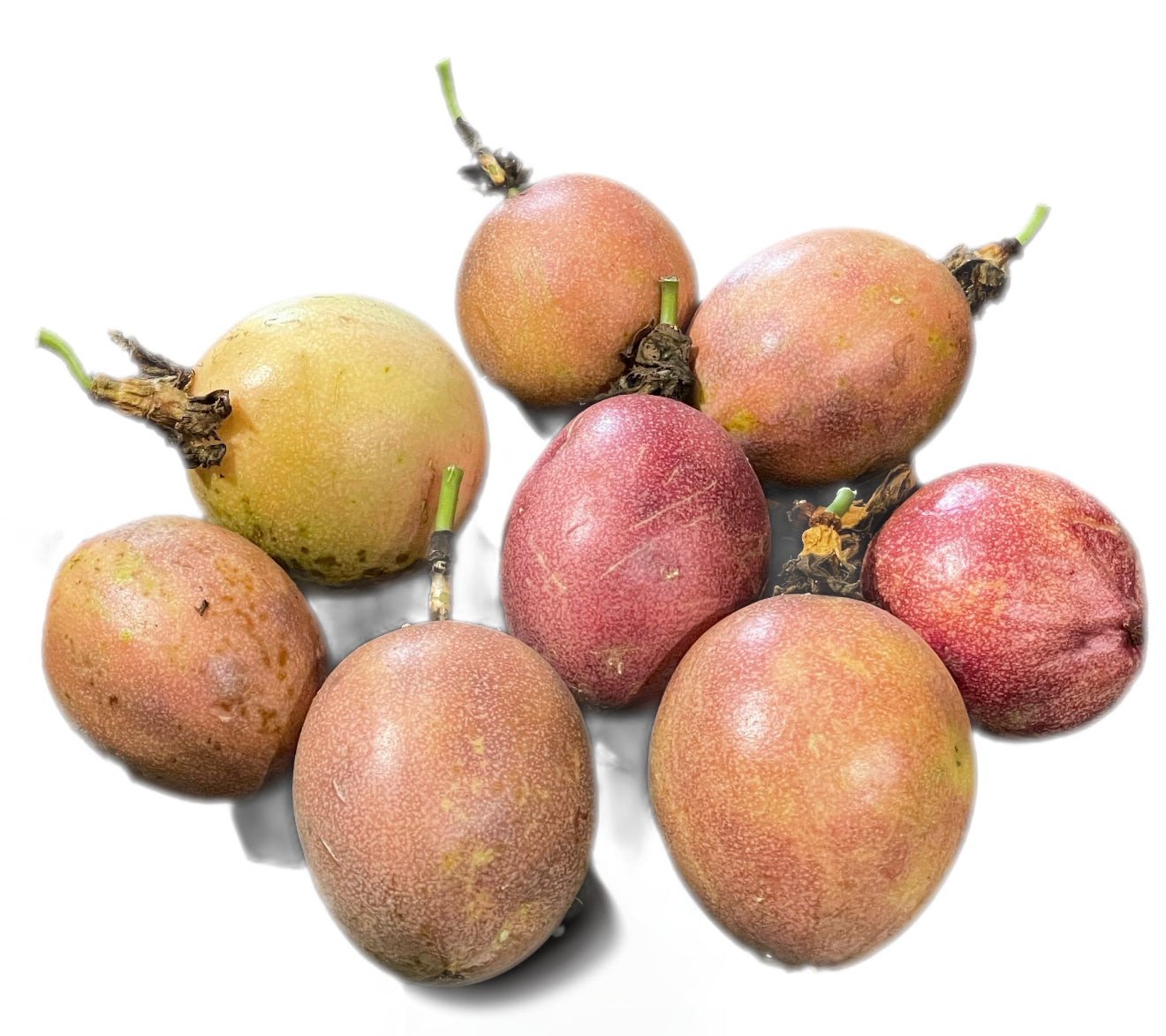 Passion Fruit Seeds- Variety: Romana Rose