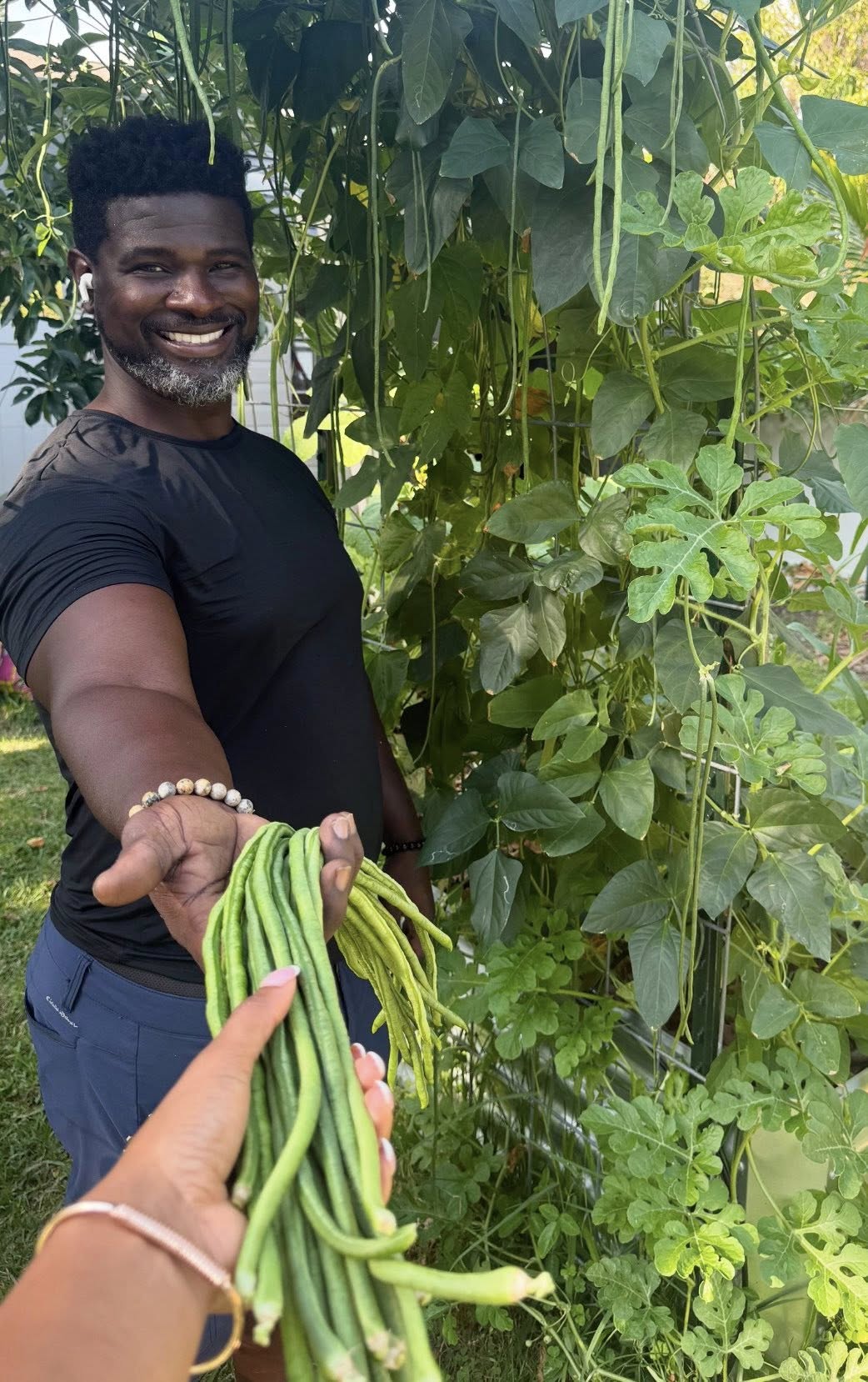 Yard Long Green Bean Seeds